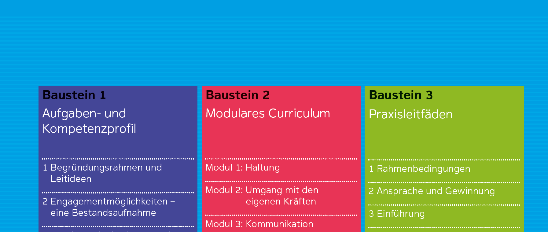 bausteine ehrenamt deutscher verein 2016