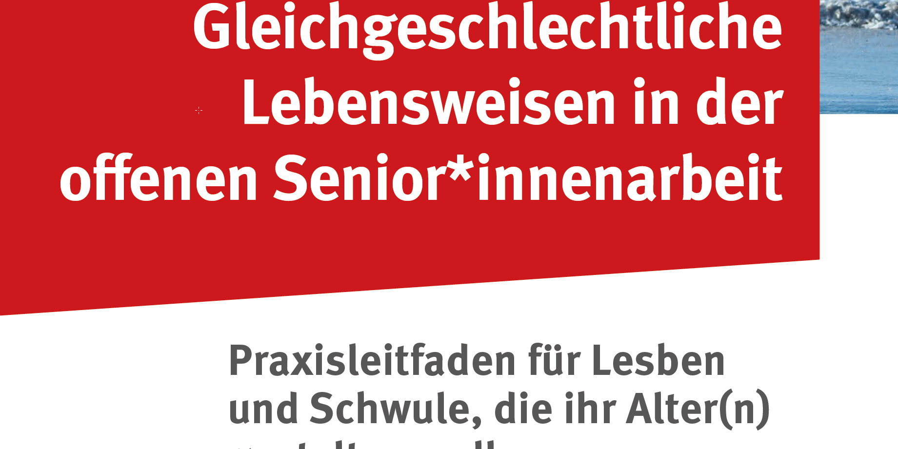 Cover Praxisleitfaden lesbisch-schwule Seniorenarbeit